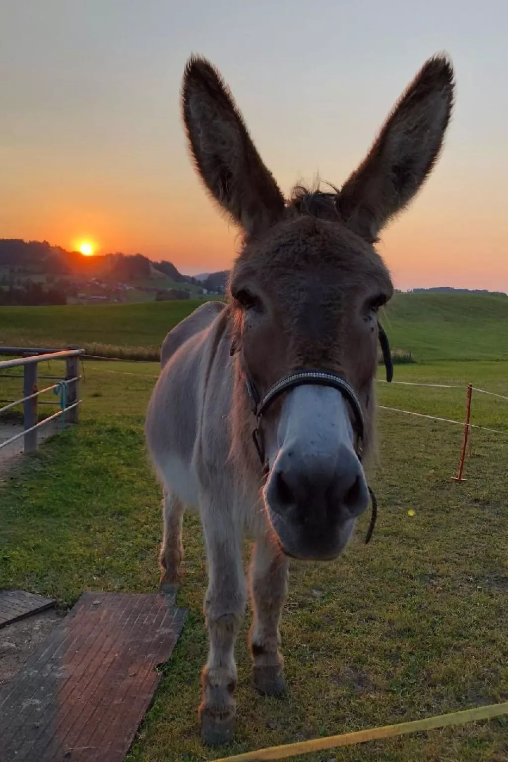 Bauernhof Sal-Dehors