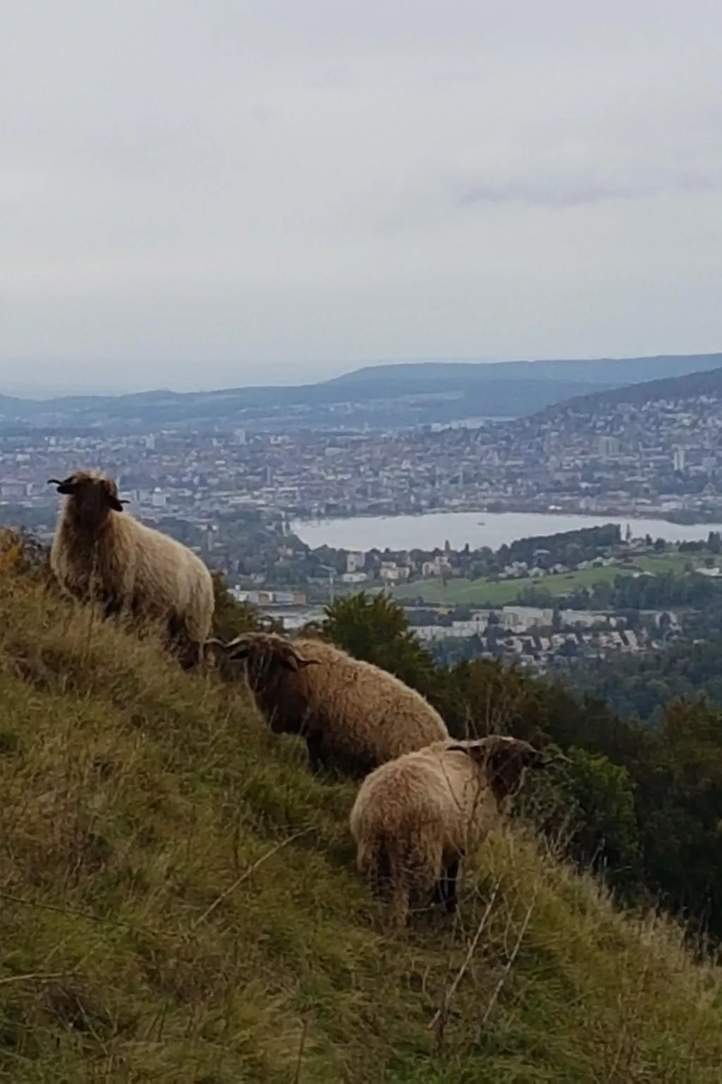 Historisches Riegel-Doppelbauernhaus-Outside