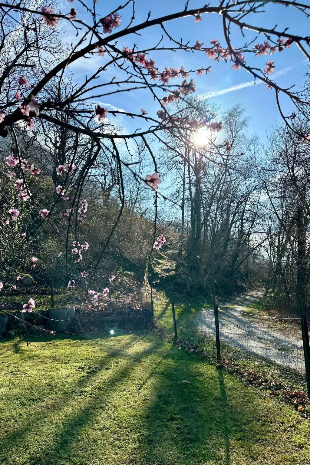 Insel-Ferienhaus-Image-tags.info