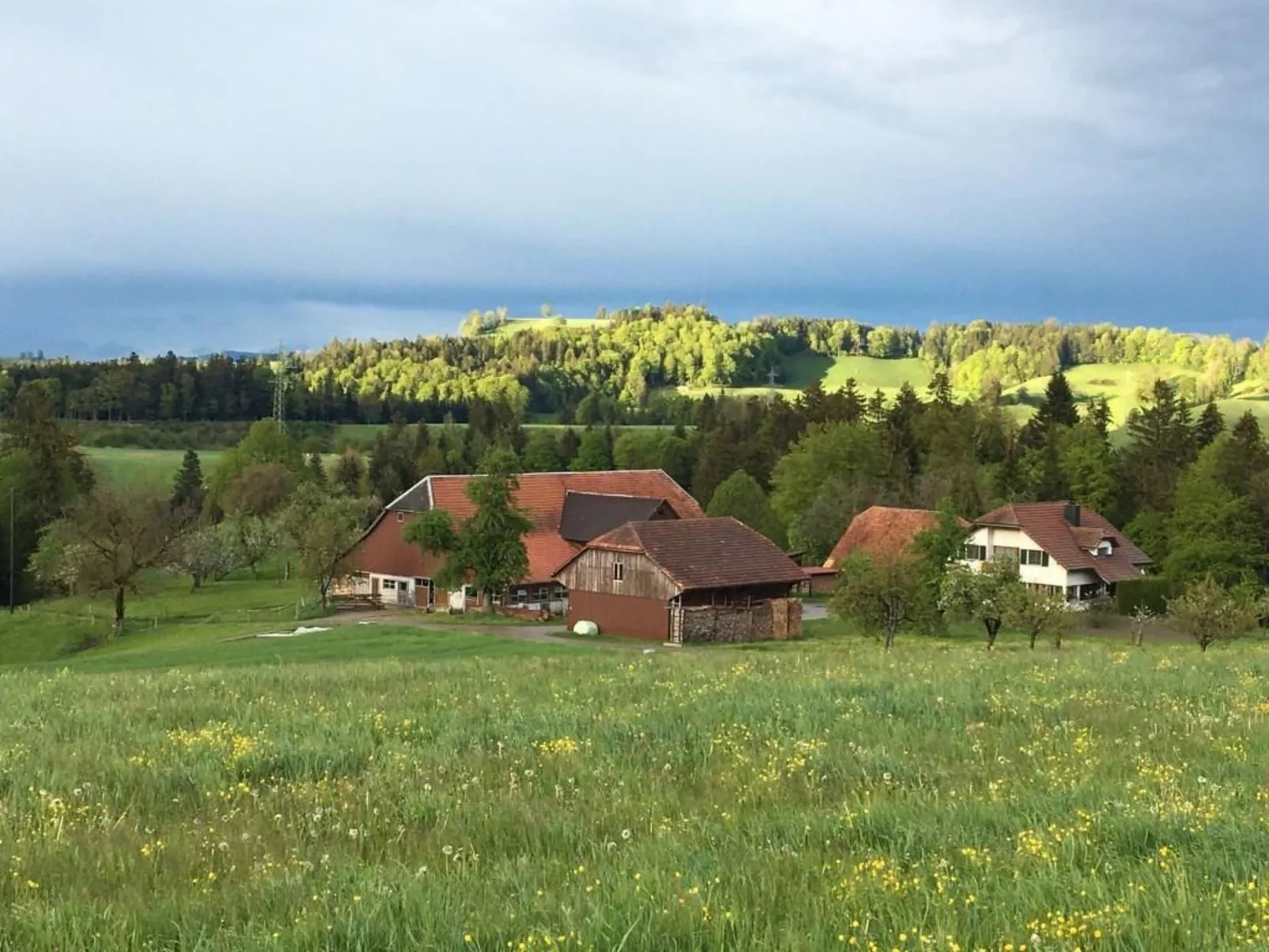 Steinern-Image-tags.info