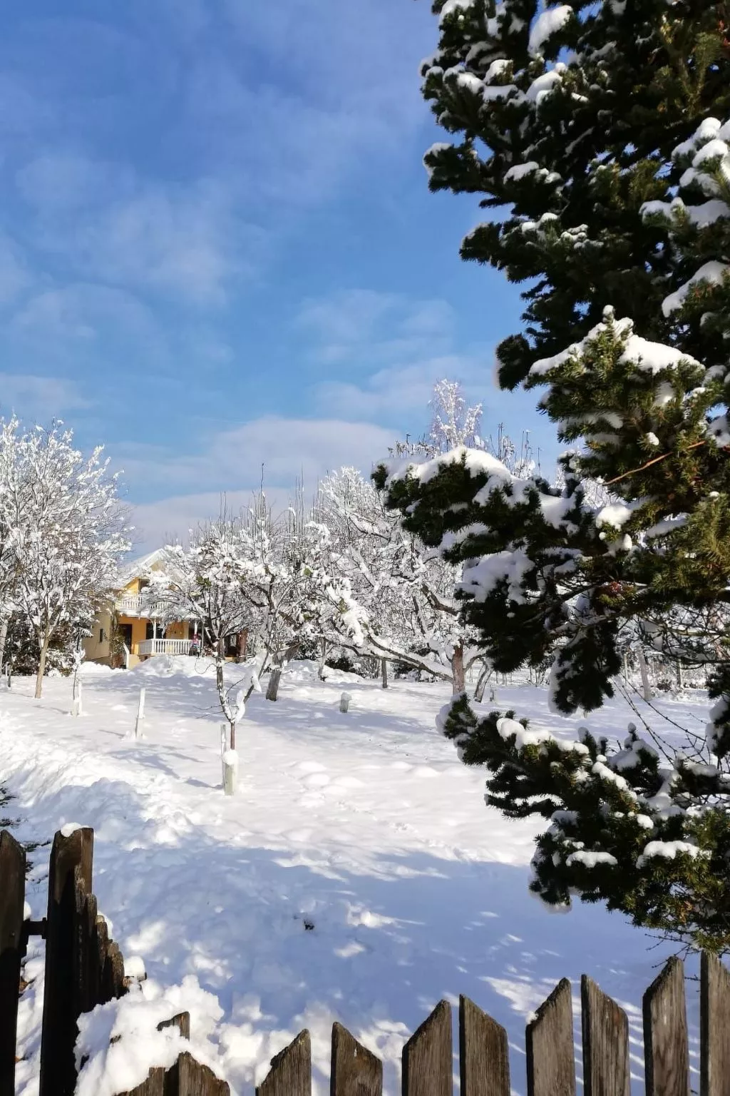 Hütte mit Garten, Grill und Terrasse-Outside
