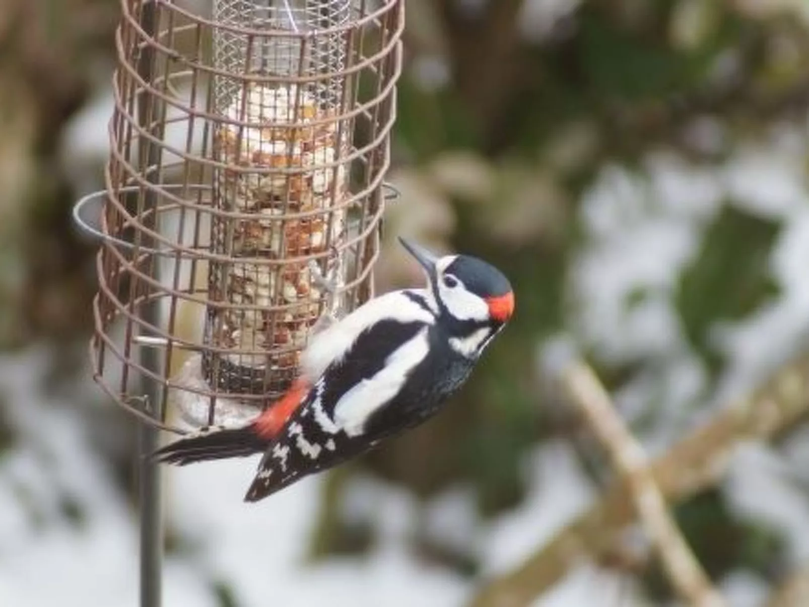 Idyllisches Landhaus Rosemary-Drinnen