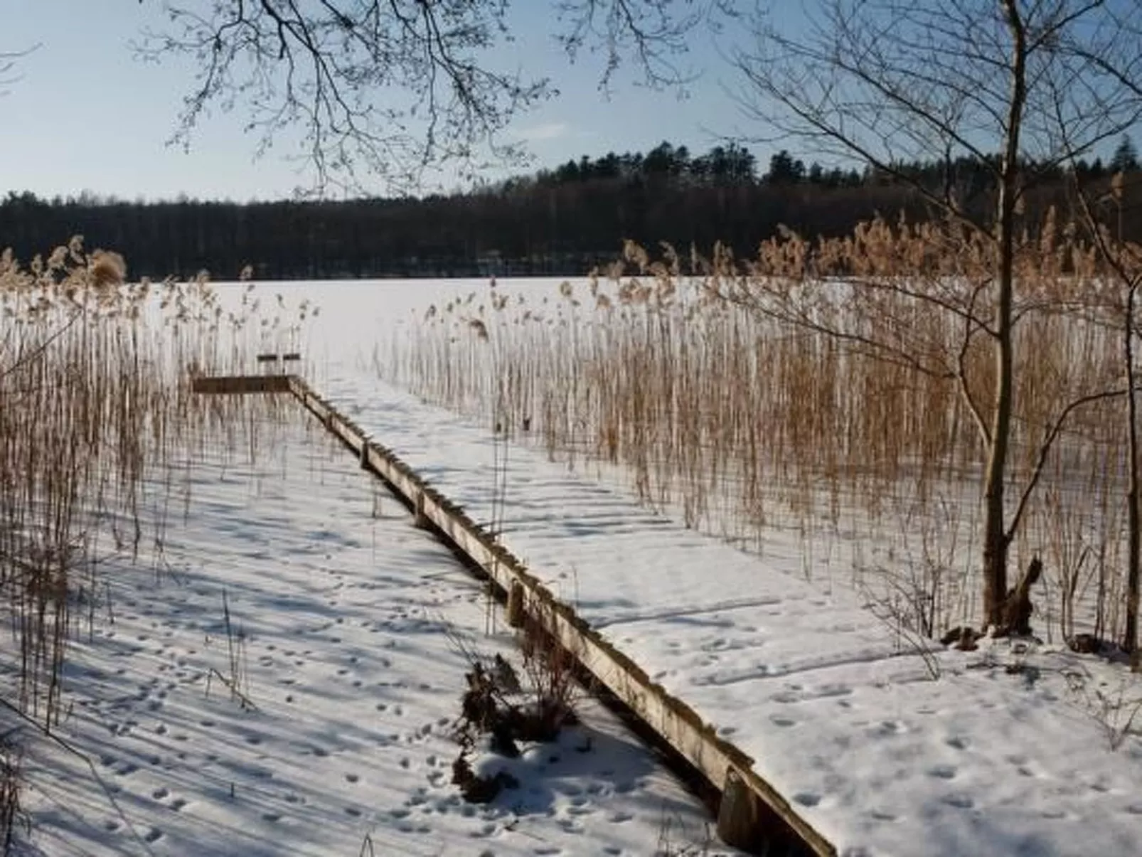 Haus des Kreises-Dehors