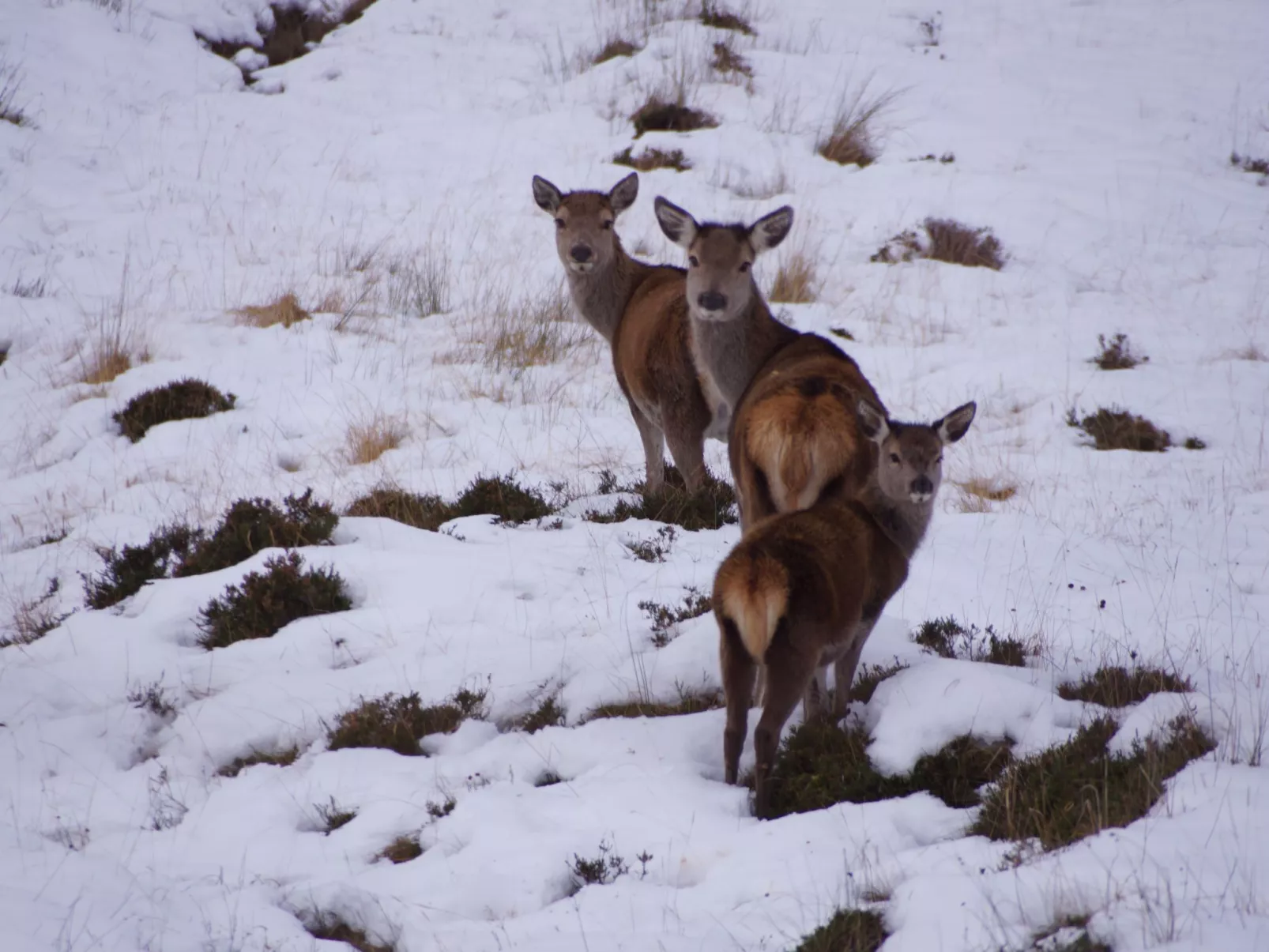 West Horizon Ferienhaus-Outside