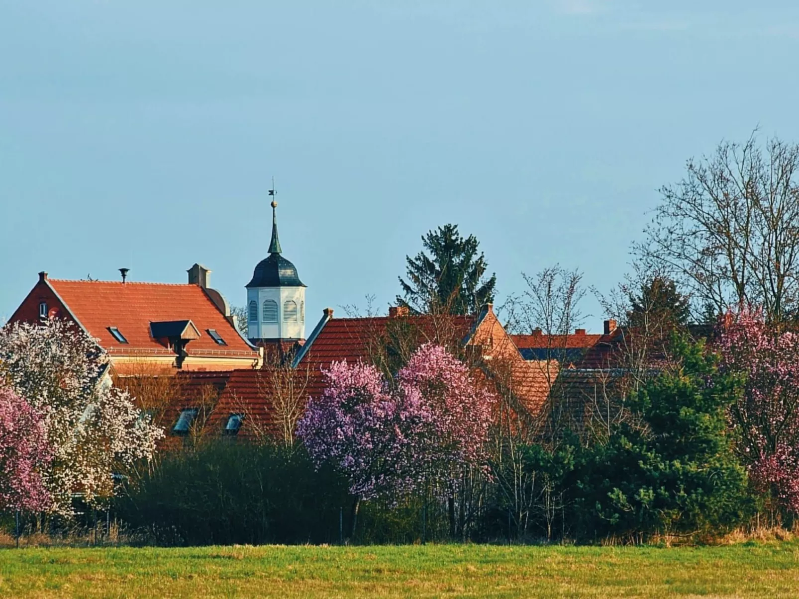 Havel-Domizil-Dedans