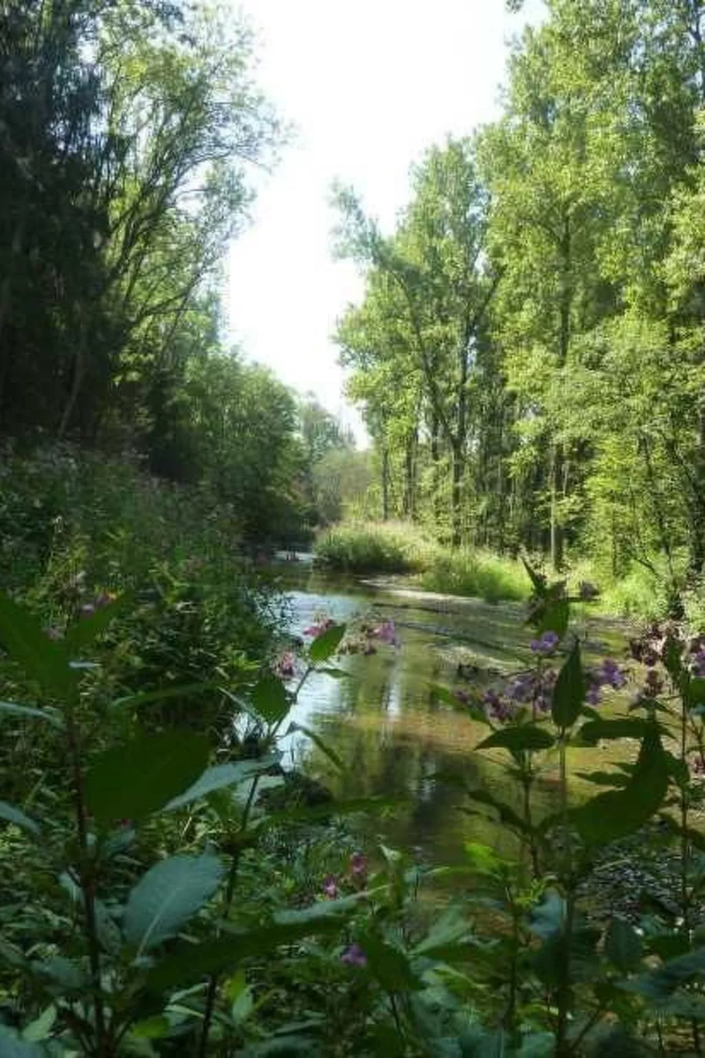 Haus mit  freier Fahrradnutzung und kleinem Boot-Dehors