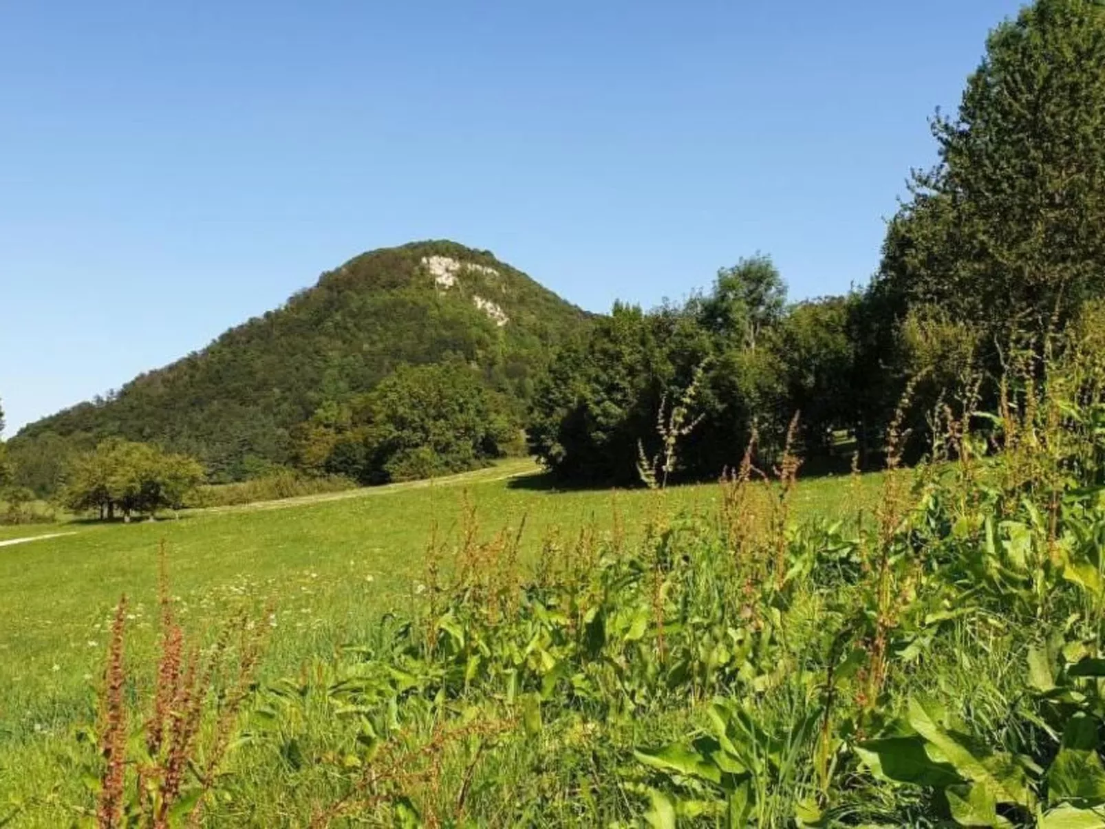 Ferienwohng. Susanne-Image-tags.info