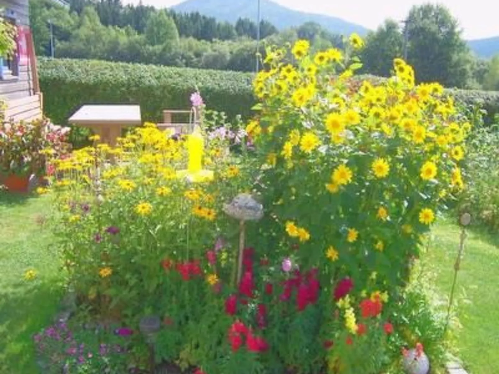 Appartement mit Terrasse, Garten und Grill-Draußen