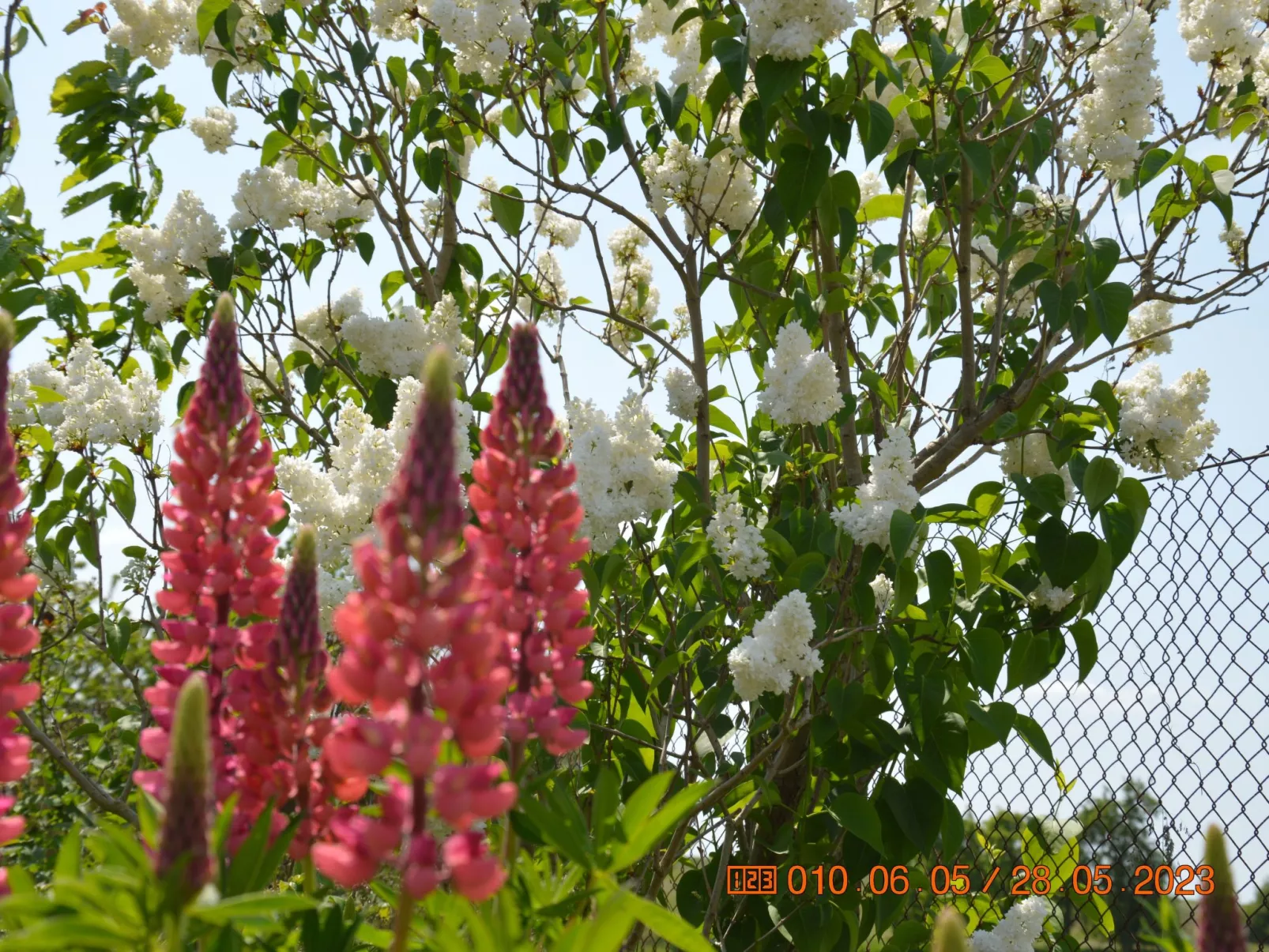 Büdnerei Cantnitz-Outside