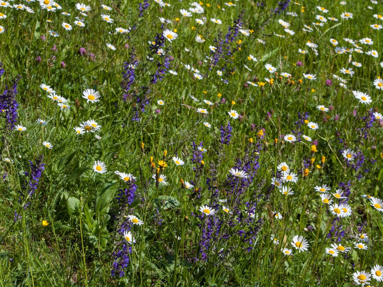 Moderne Wohnung in Pöls mit großer Terrasse-Inside