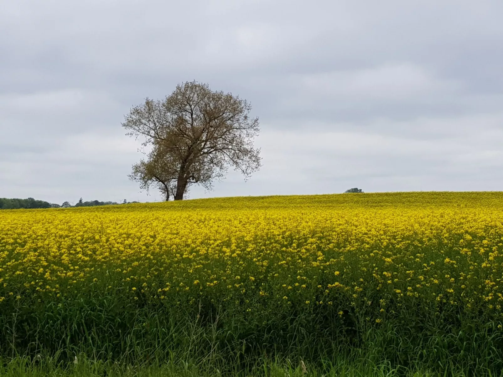 Beim Bracksee-Inside