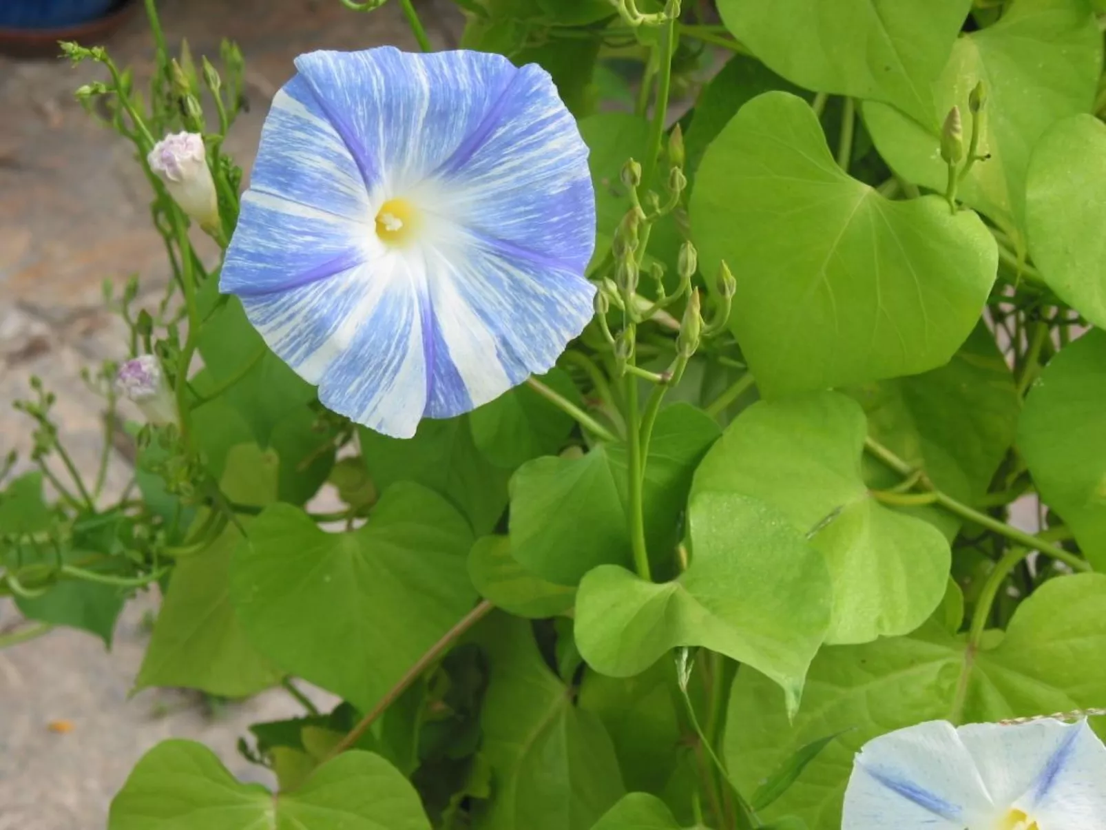 Himmelreichmühle in Sausal-Image-tags.info