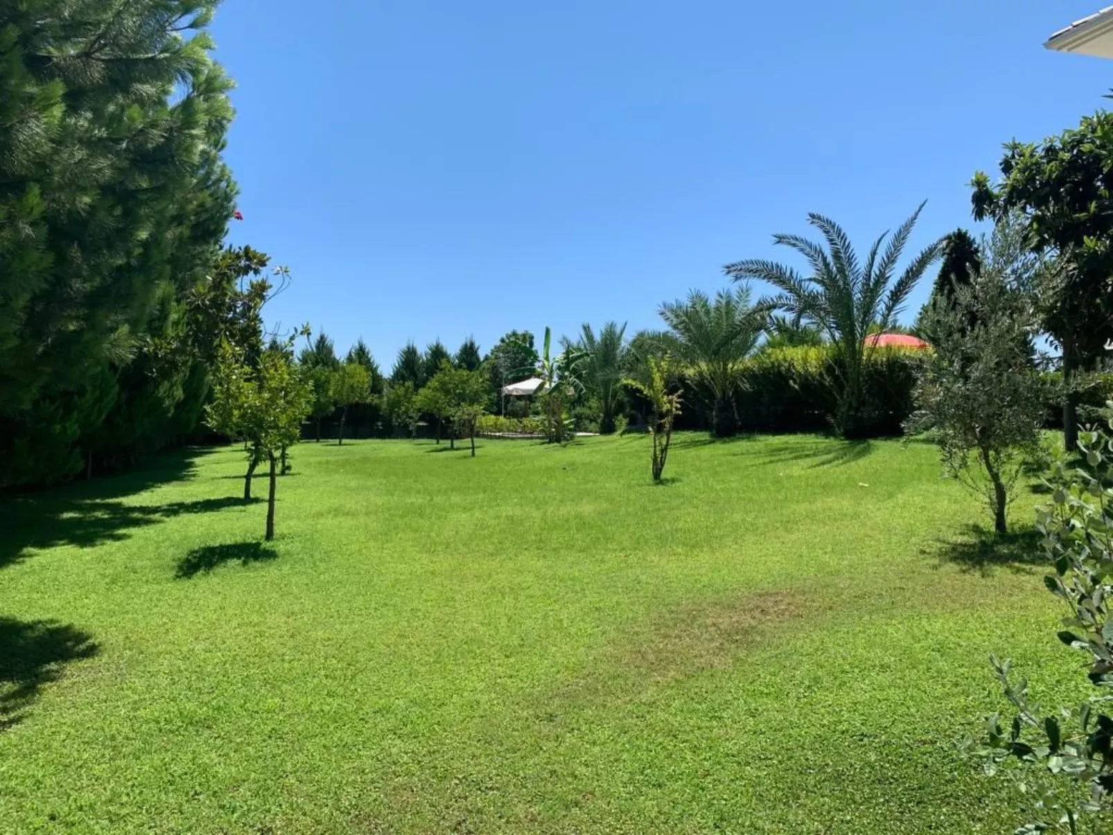 Mit Terrasse-Outside