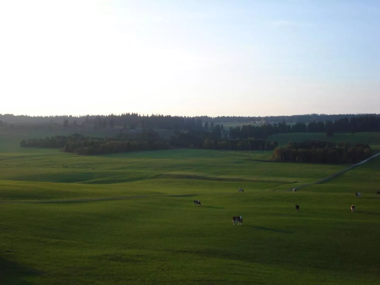 Wohnung in altem, renoviertem Bauernhaus-Draußen