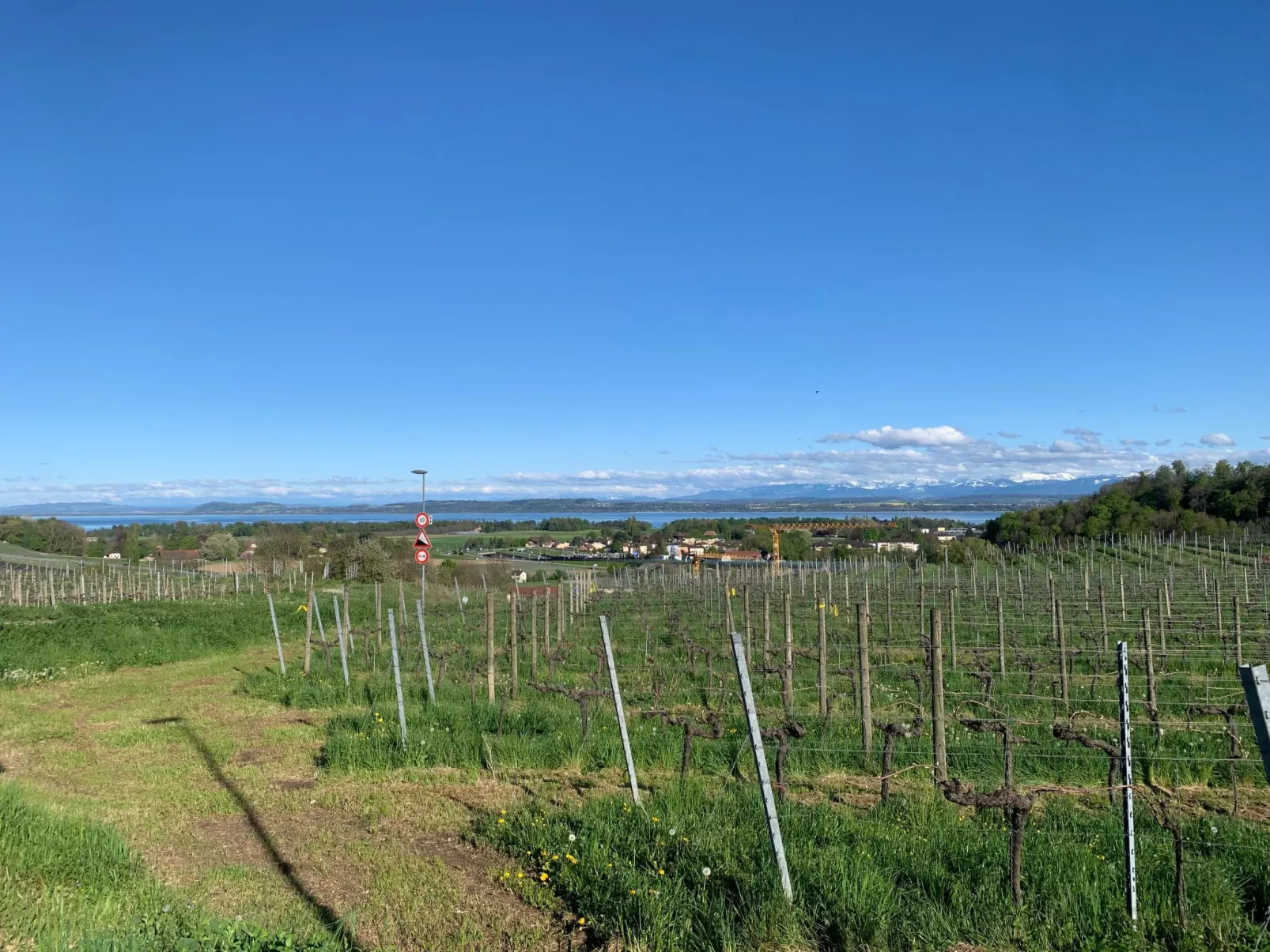 Cozy Little Dream - Outside