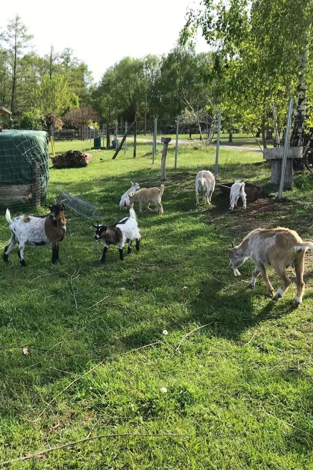 Zochiserlebnishof-Outside