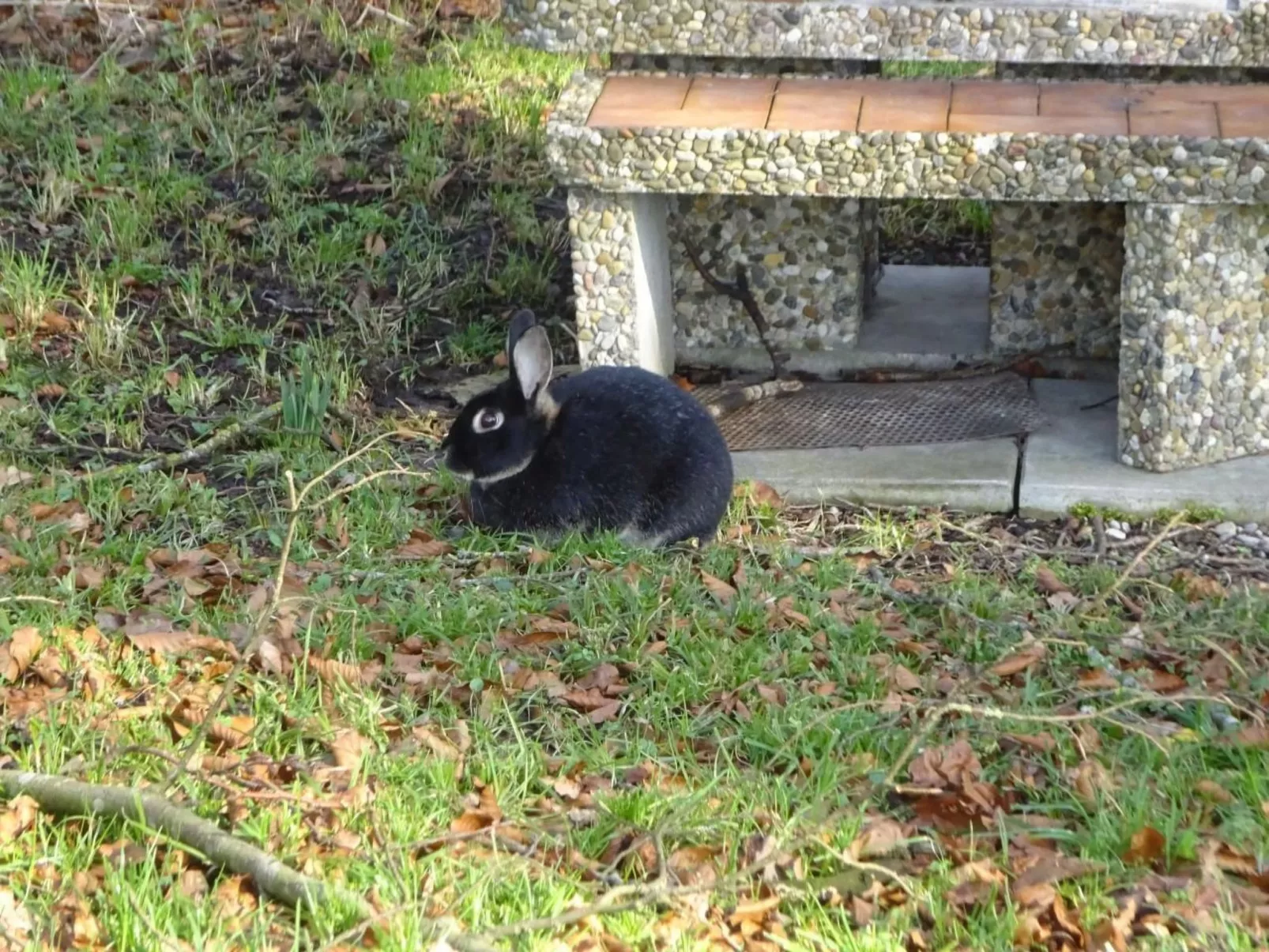 Rehalp Westen-Draußen
