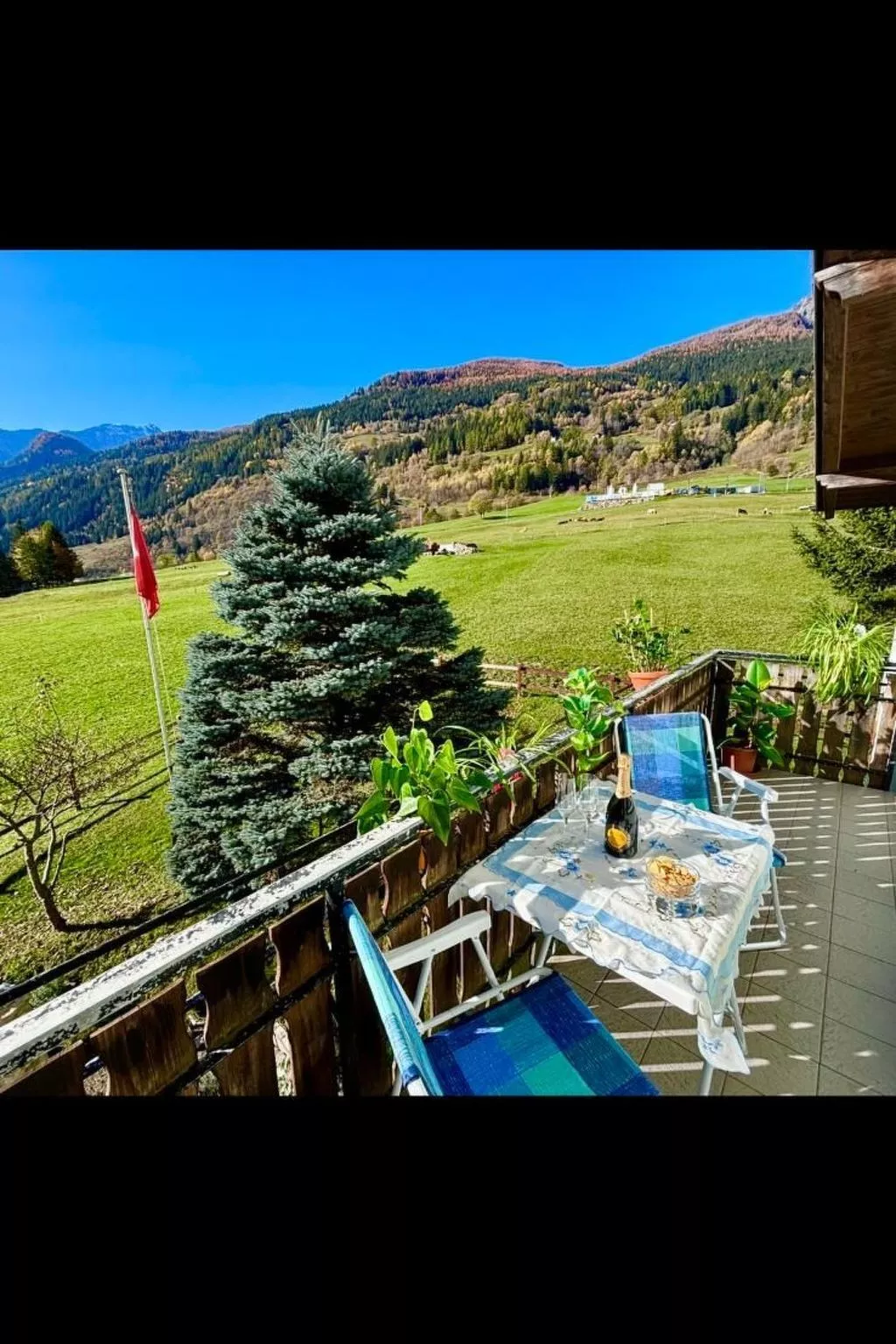 "Window on the grenn"-Inside