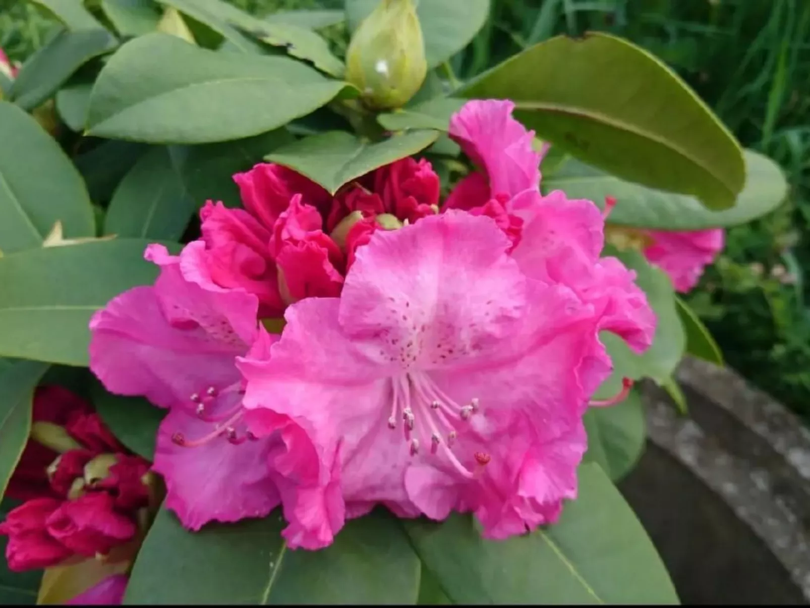 Wellness Oase-Image-tags.info