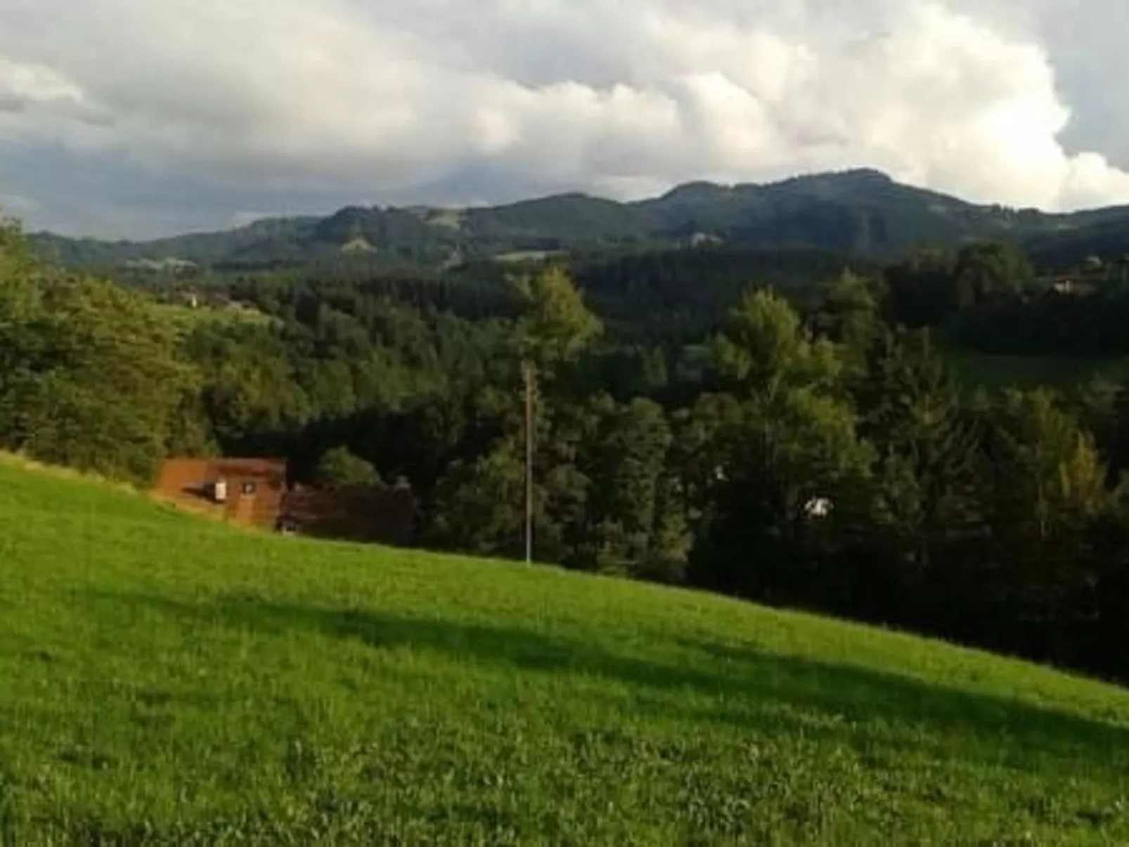 FeWo Südhang-Outside