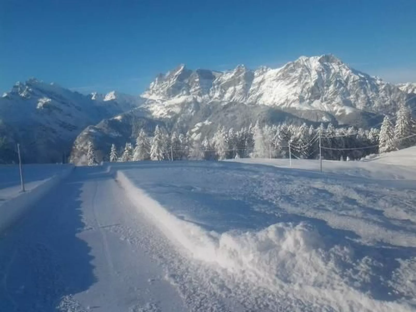 Ferien im grünen rechts-Dehors