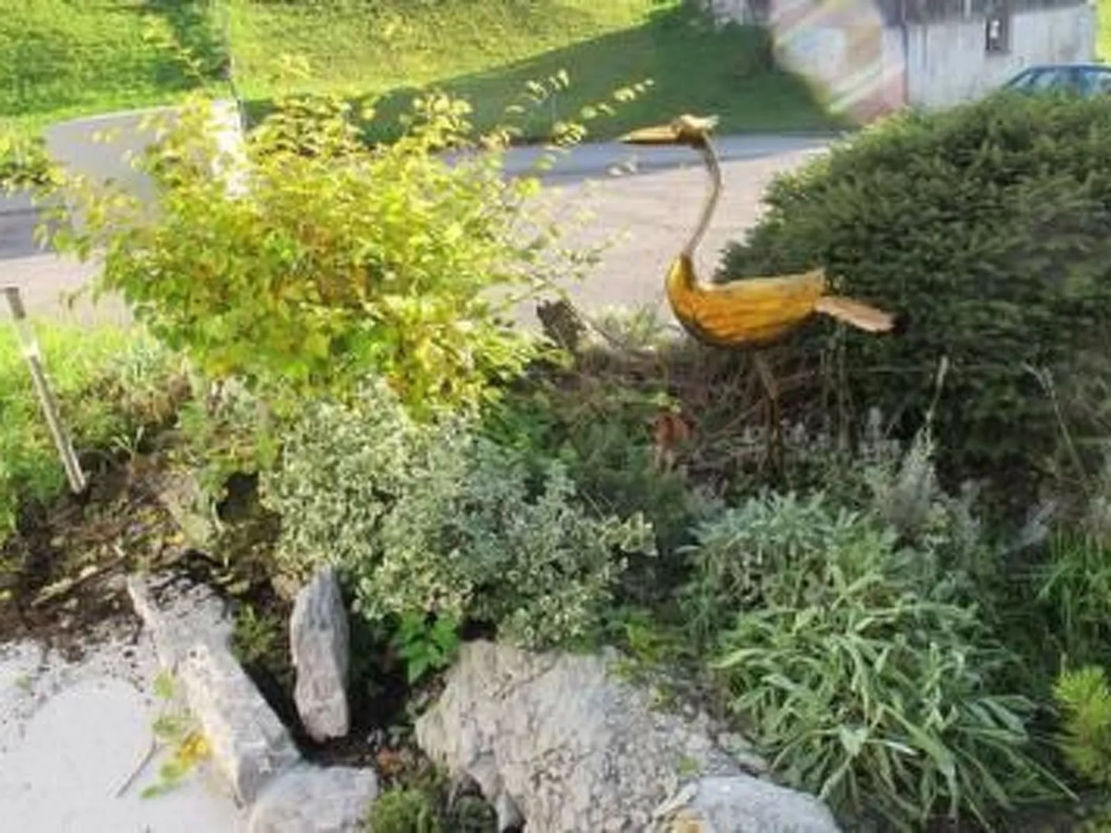 Top Ferienhaus-Draußen