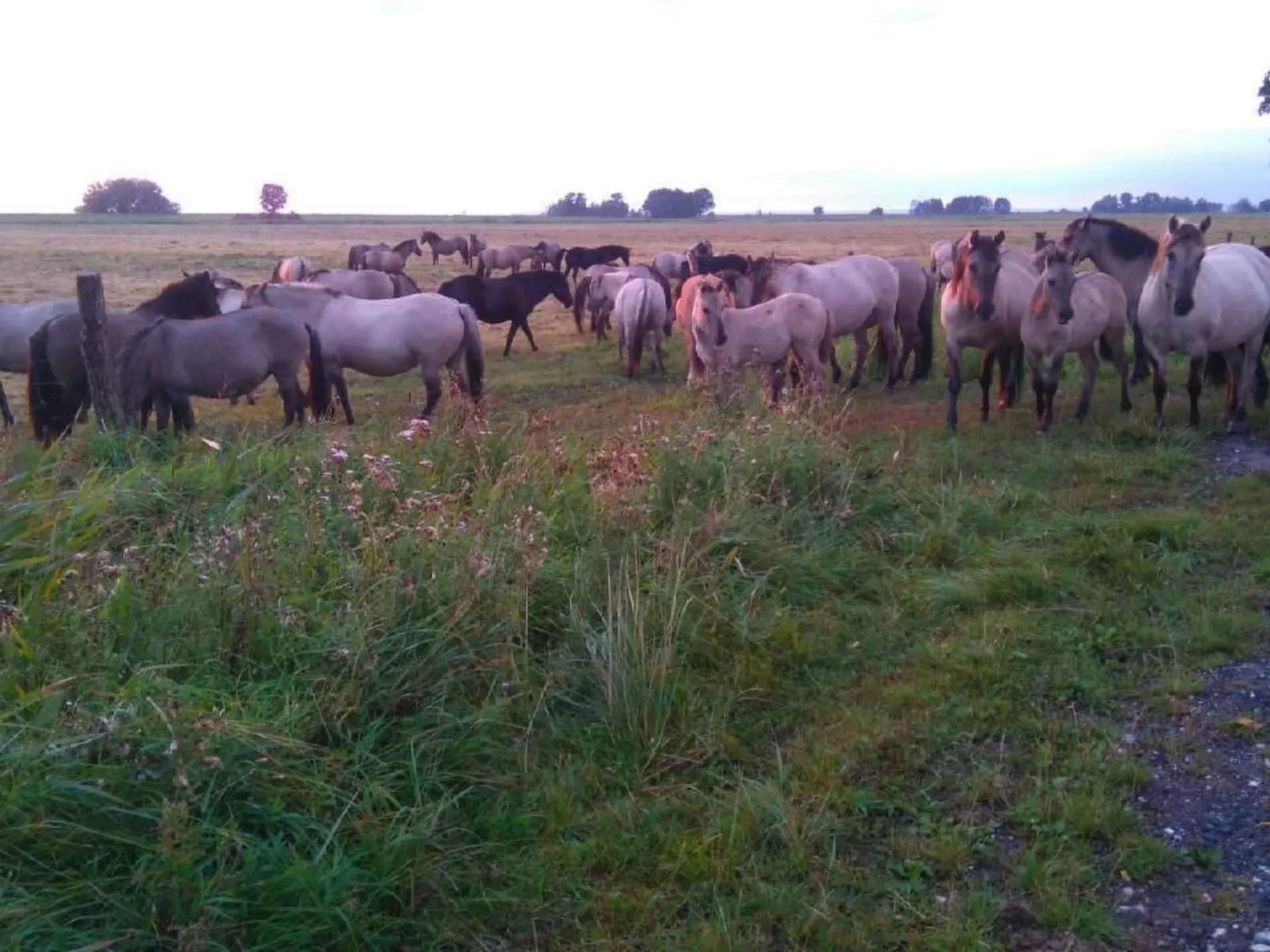 Juwel an der Lagune-Drinnen