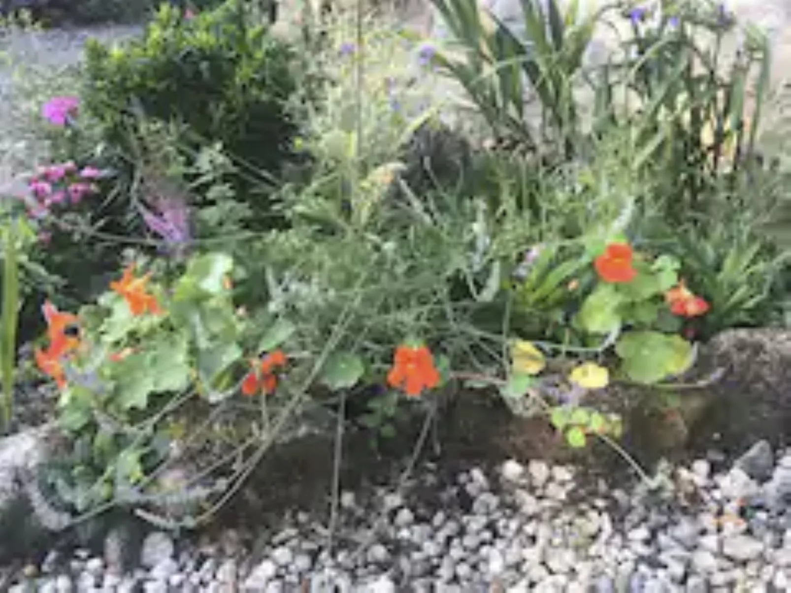 Idyllisches Landhaus mit wunderschönem Garten-Drinnen