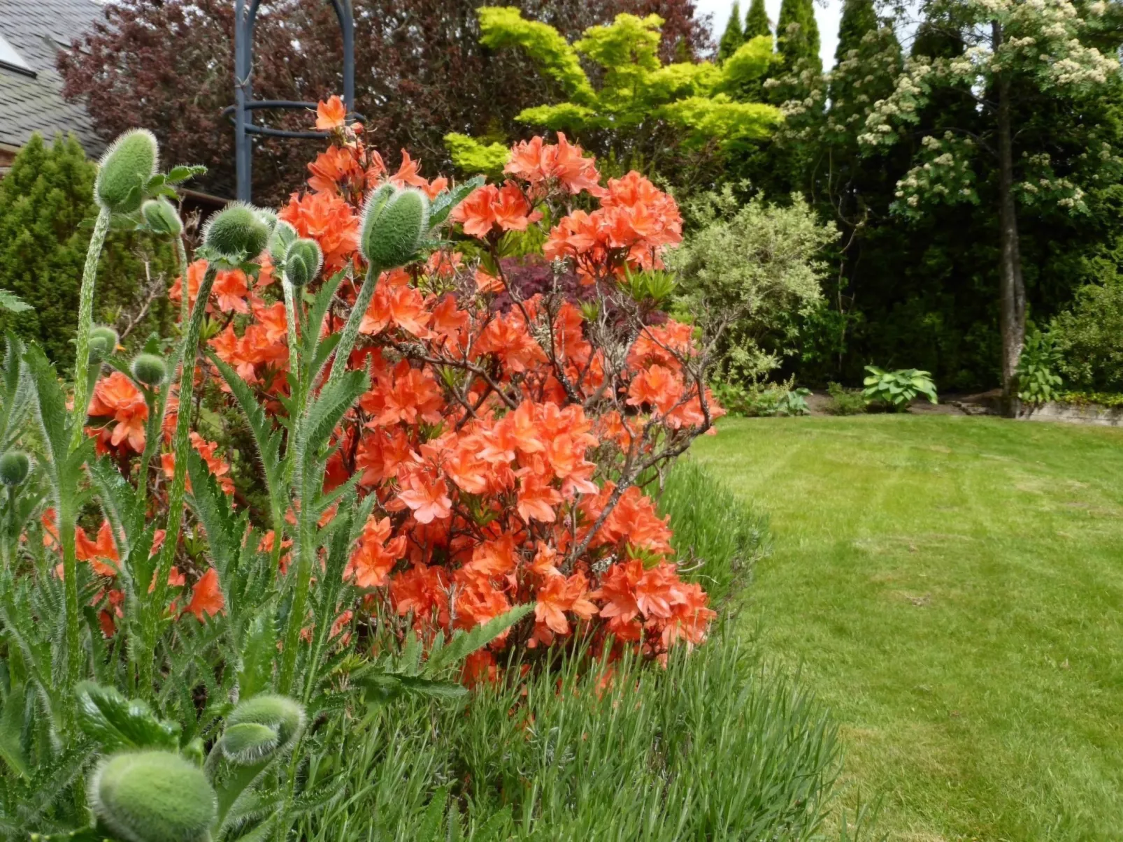 Schönes viktorianische Villa in Blairgowrie-Dedans