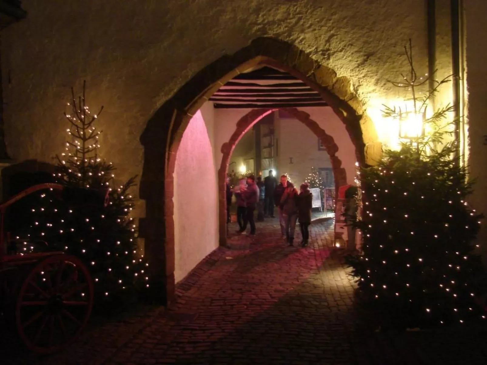 Snowview Lodge-Inside