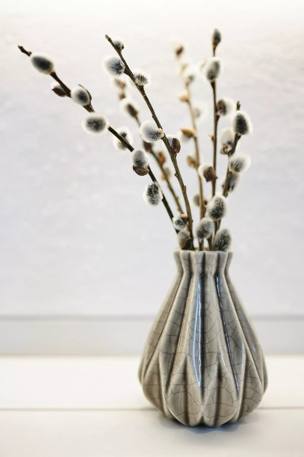 Komfortables Ferienhaus in purer Natur-Dedans