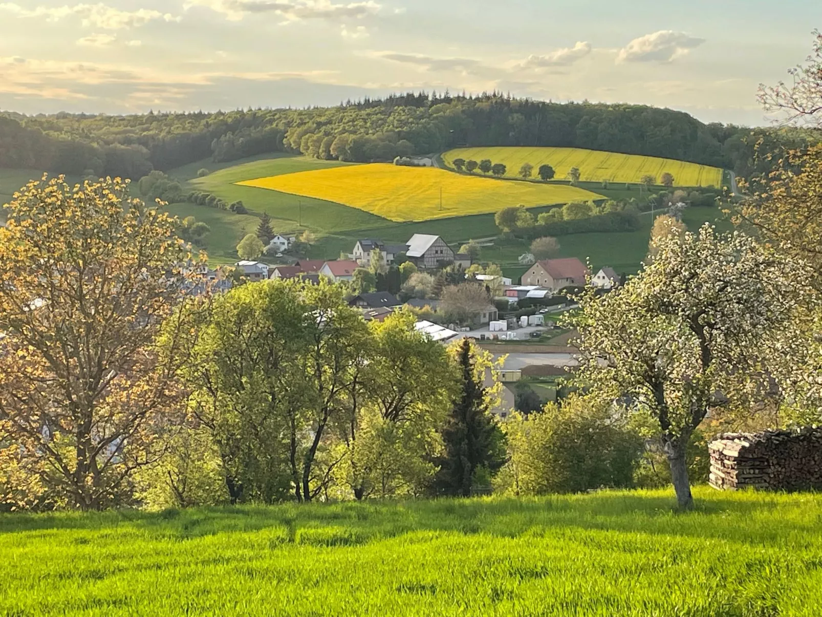 Nassauer Forsthaus-Inside