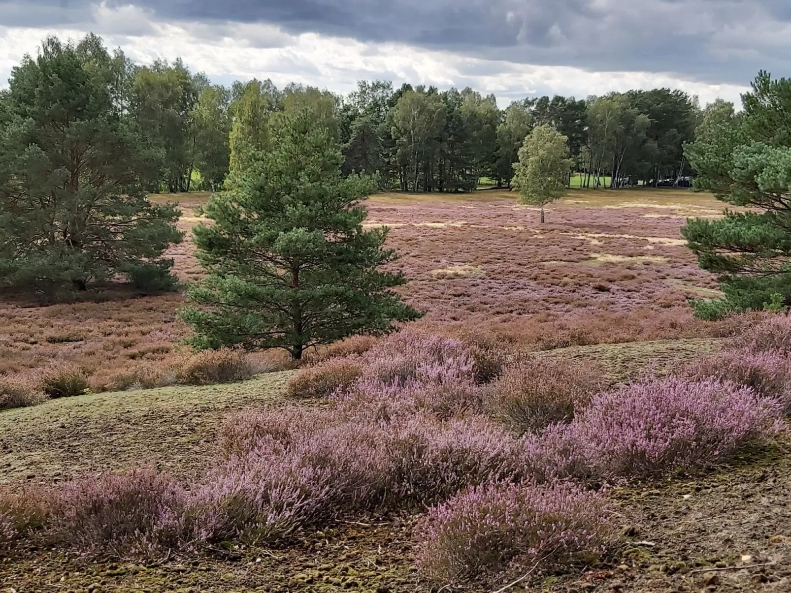 Wohnung in Jameln mit Garten, Grill und Terrasse-Dedans