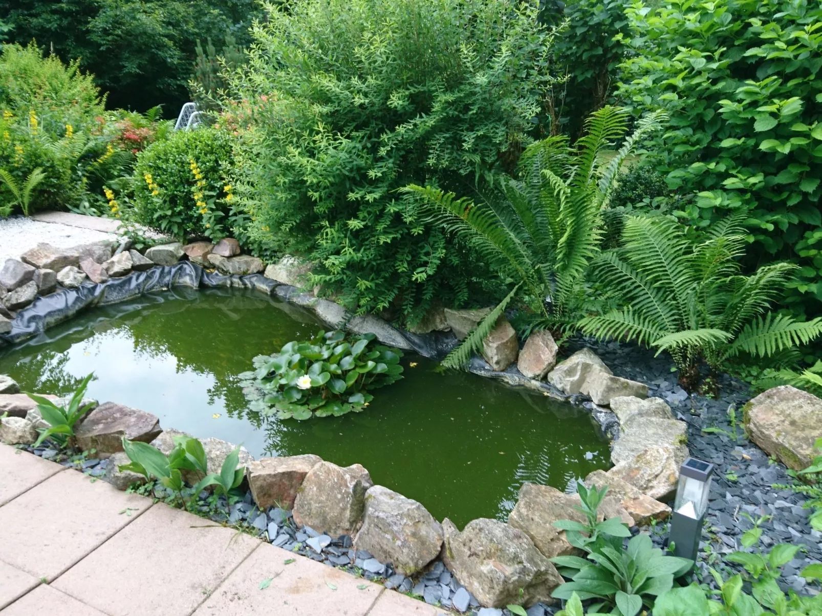 In Im Trieschelbach mit Großem Garten-Inside