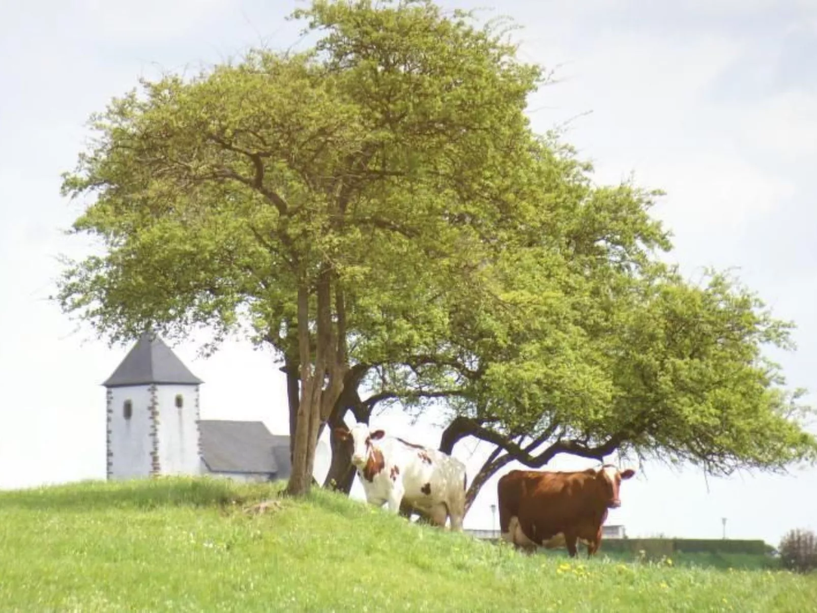 Gemütliche Maisonette Wohnung Seelenblick-Inside