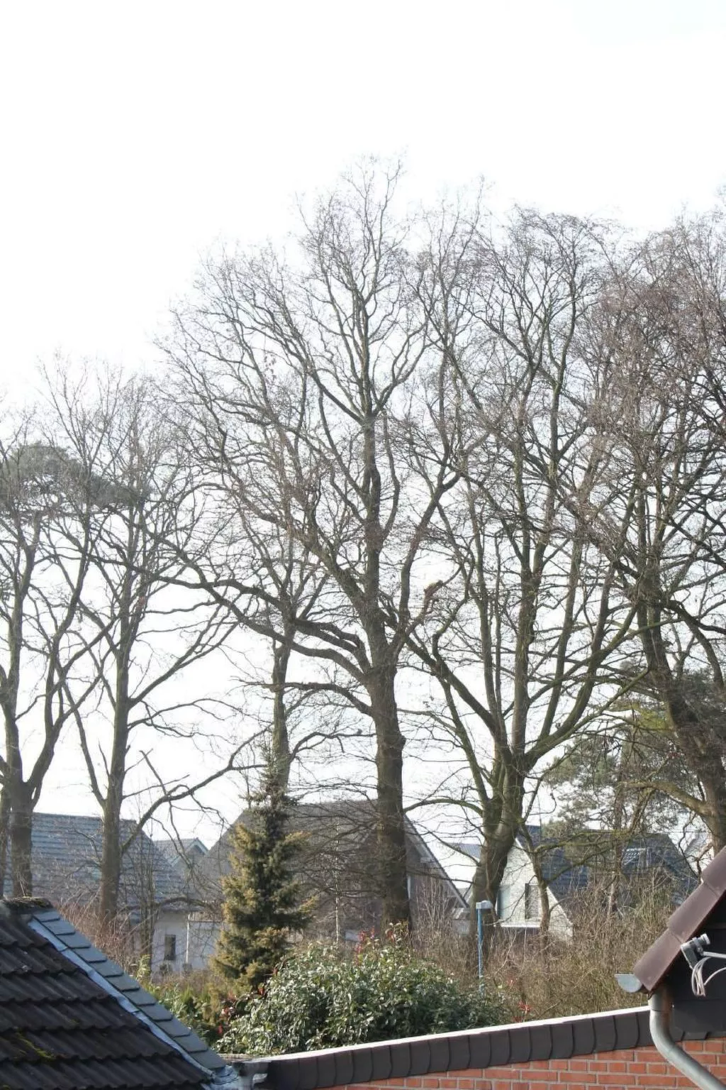 In Bedburg-Hau-Image-tags.info