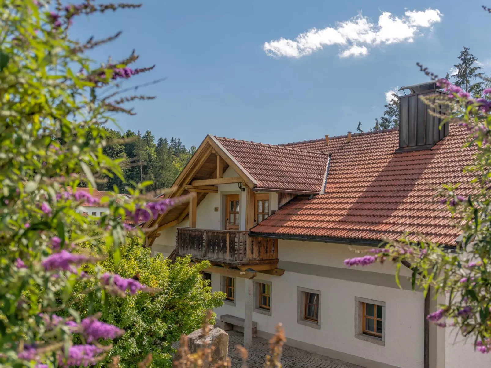 Luxus-Wellness Appartment im Edlgütl-Draußen