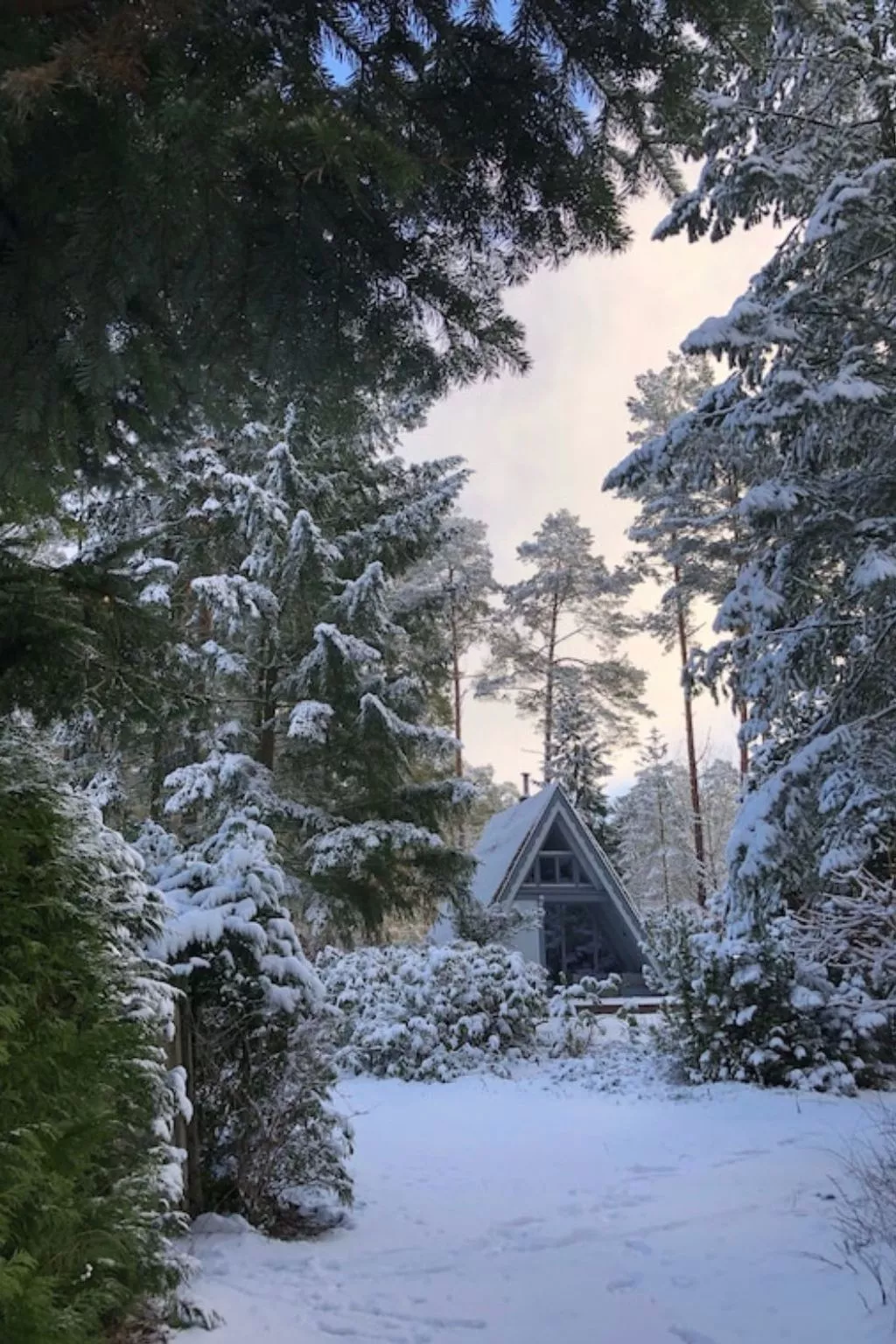 Reetdach Ferienhaus am Lübbesee Sauna Bootsteg neu-Inside