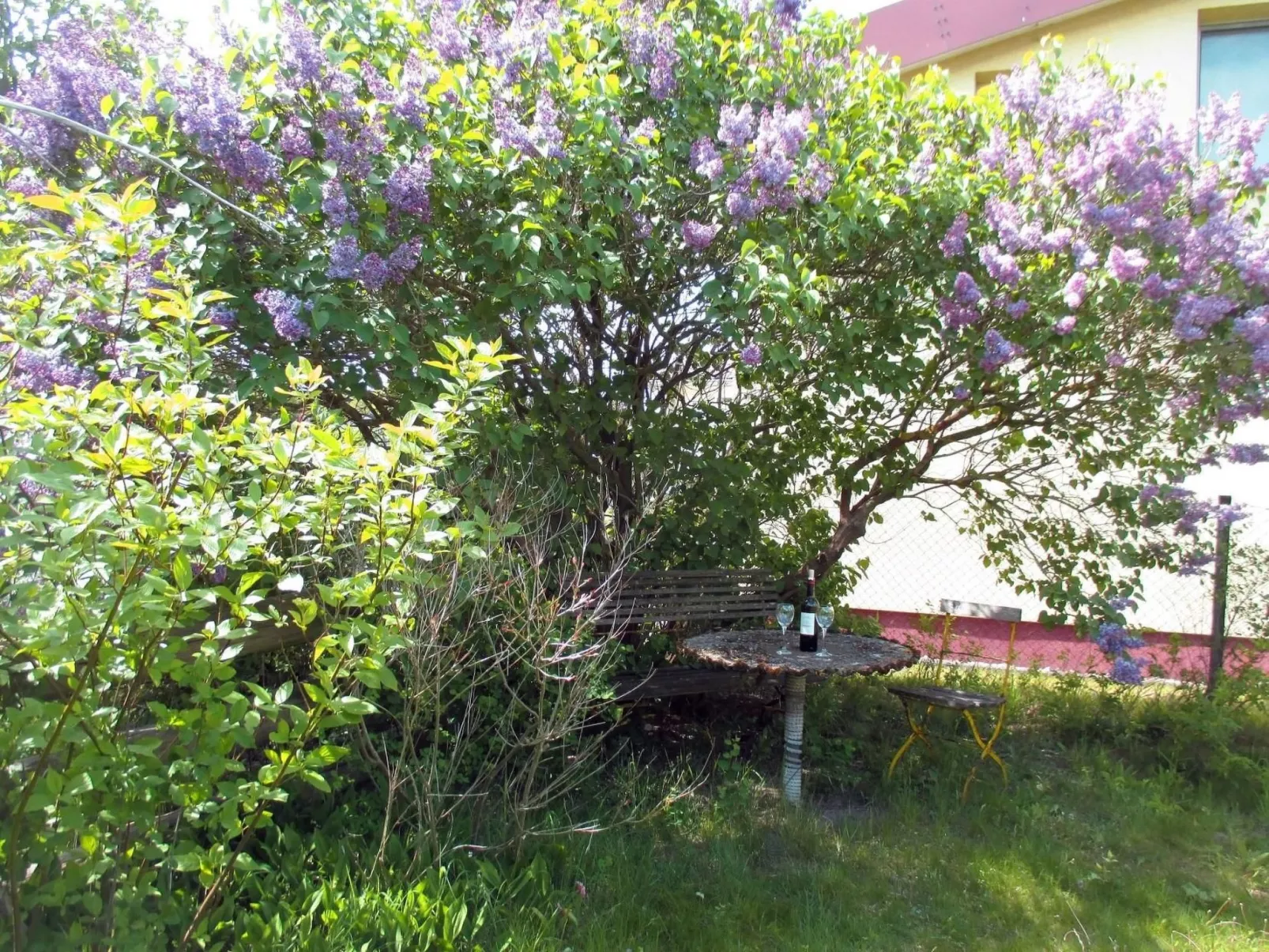 "Galerie"-Image-tags.info