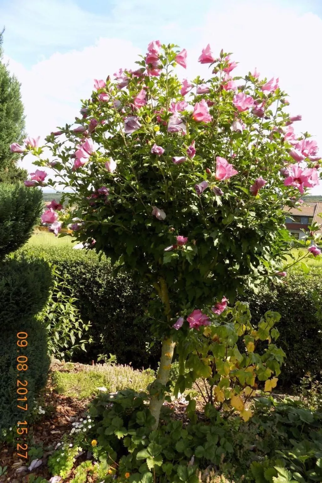 Appartement mit Terrasse, Garten und Grill-Draußen