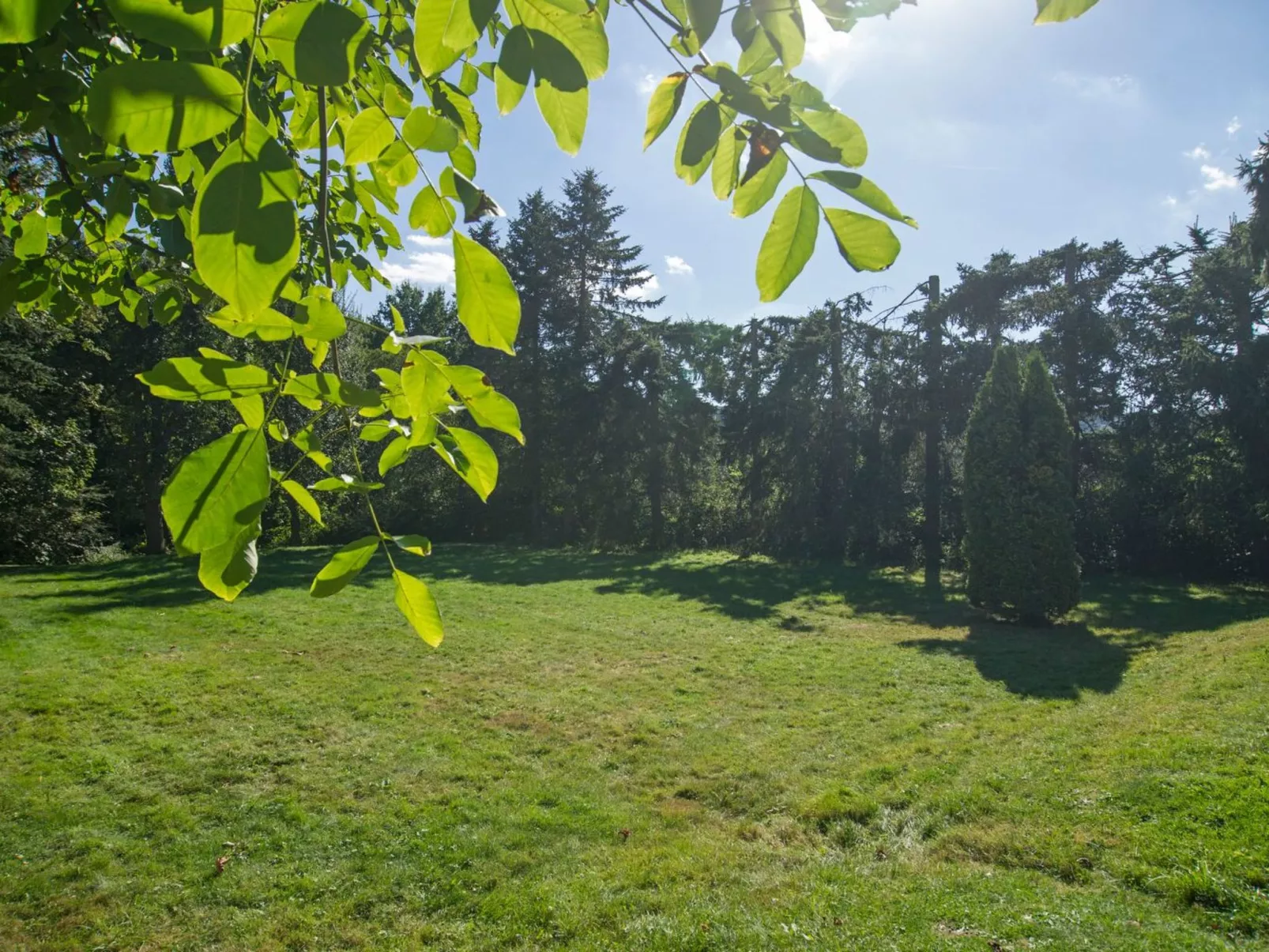 Gemütliches Ferienhaus in Hasenfeld mit Großem Garten-Dedans