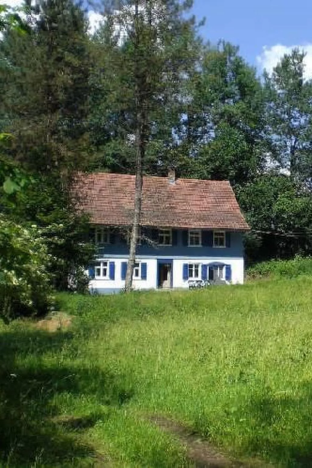 Das Blaue Haus in Hohenweiler-Drinnen
