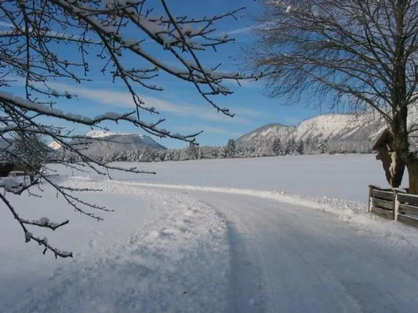 In Wildermieming-Drinnen