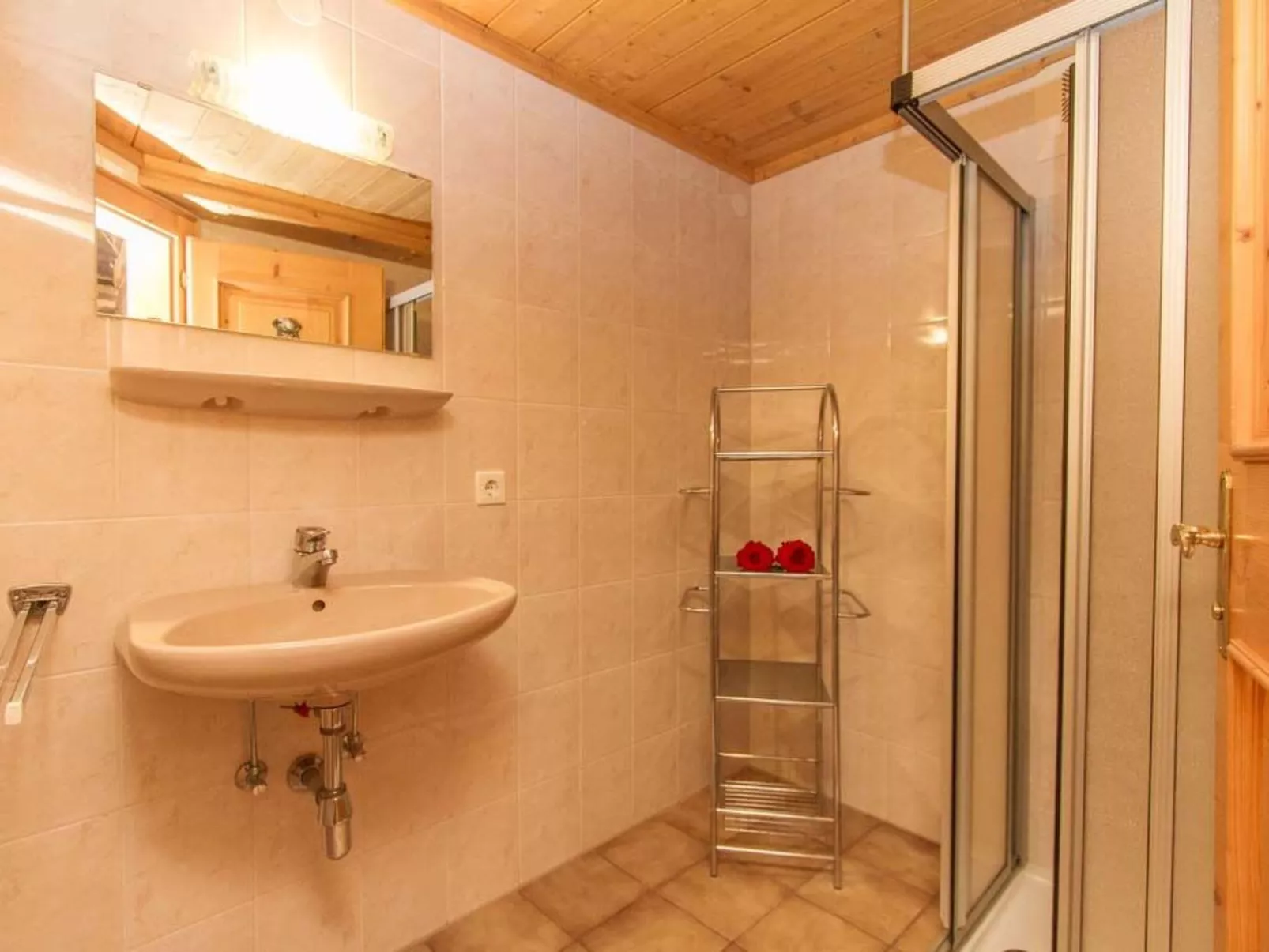 Remberghütte in Viehhofen-Inside