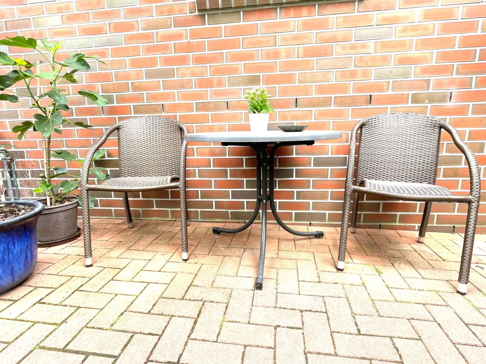 Im Herzen von OL-Dehors