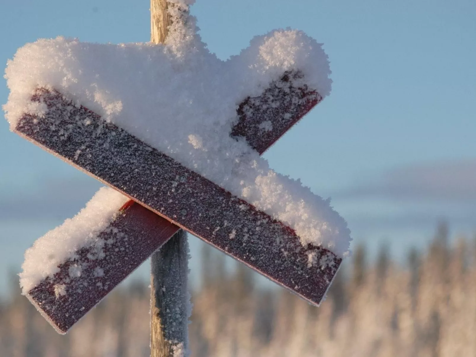 Charmantes Blockhaus, Sauna und Kamin-Outside