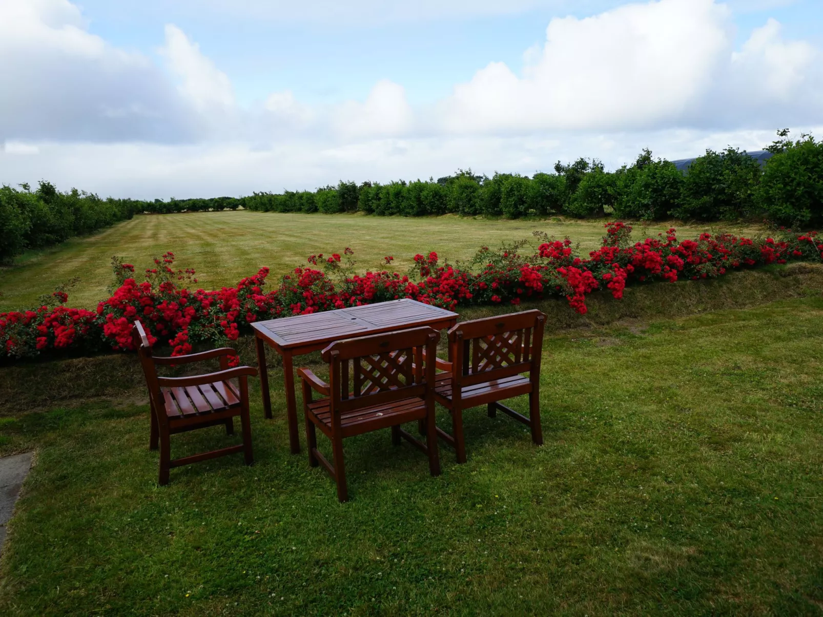 In Großmorsum mit Terrasse und Grill-Image-tags.info