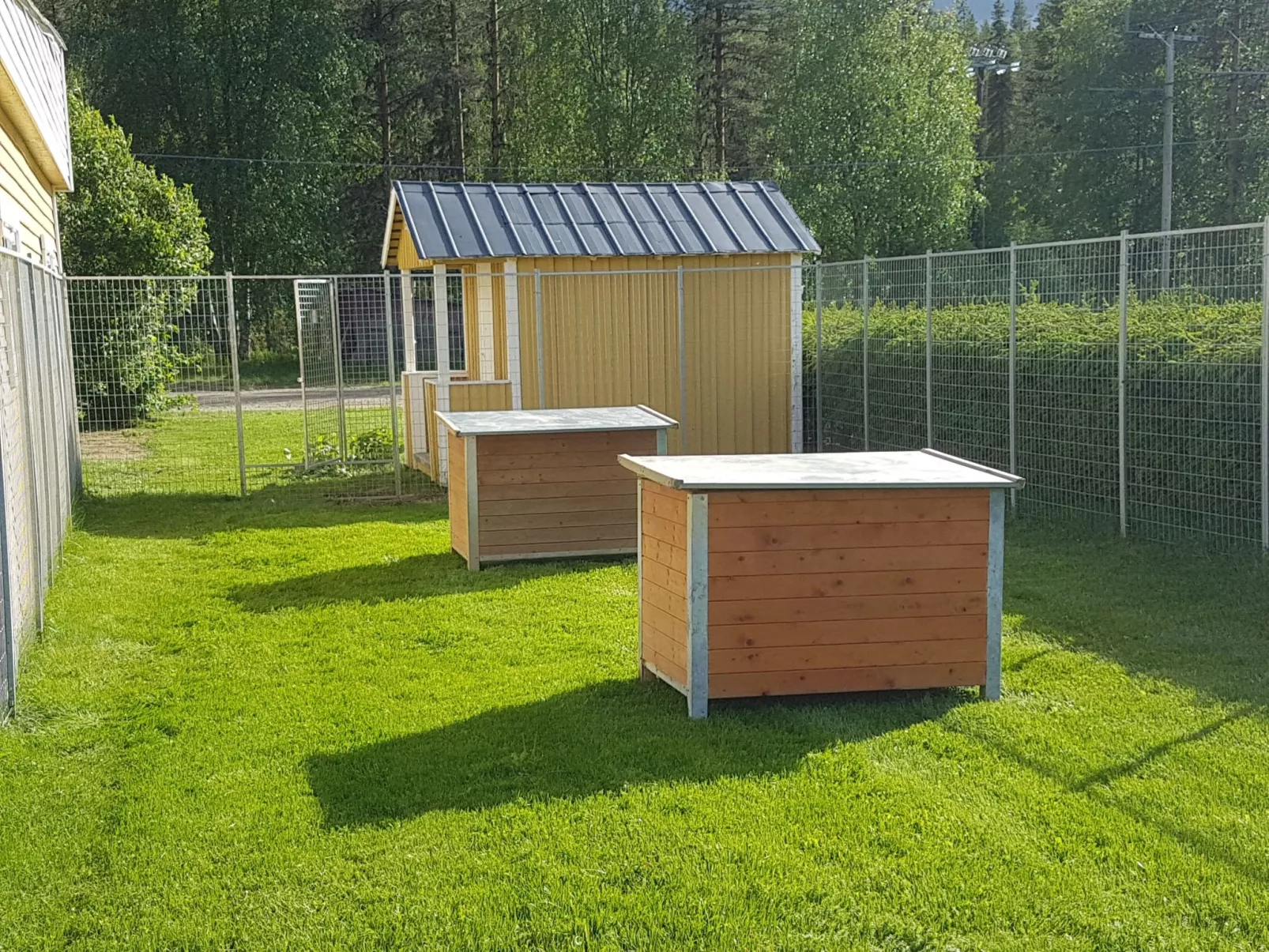 Gemütliches Ferienhaus in der Wildnis Lapplands-Draußen