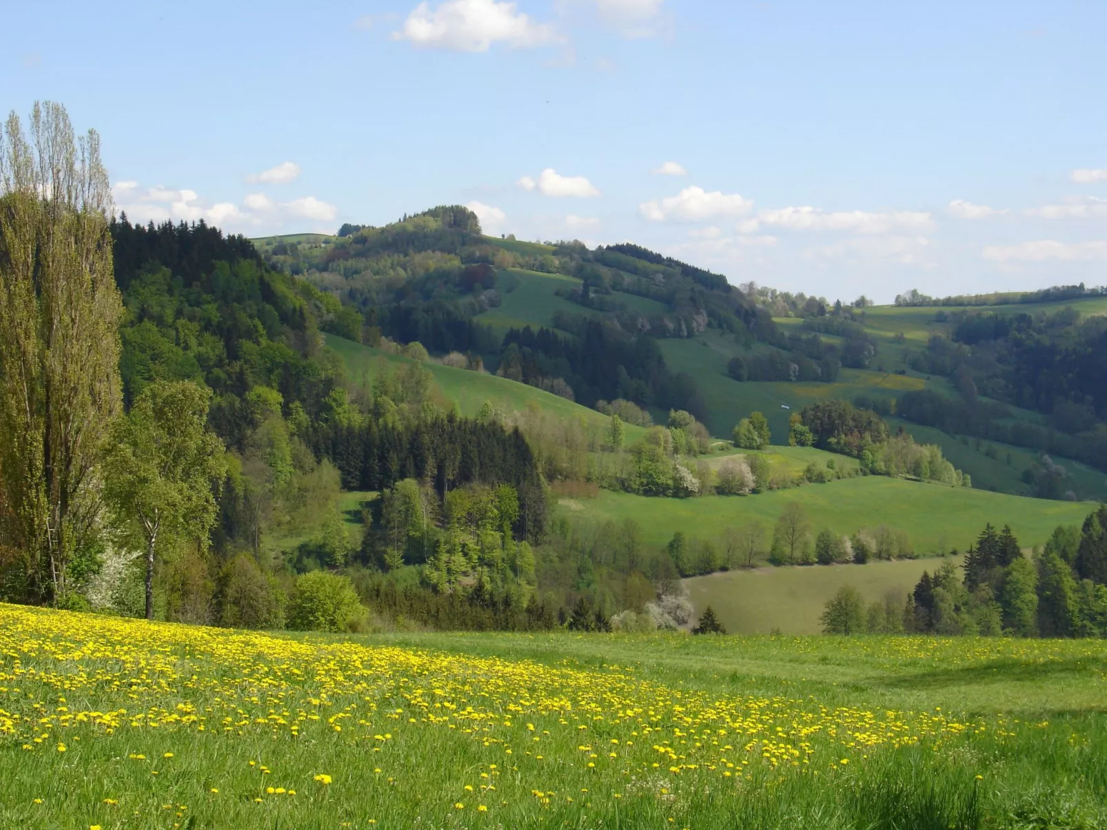 Charmantes, traditionelles Holzhaus-Inside