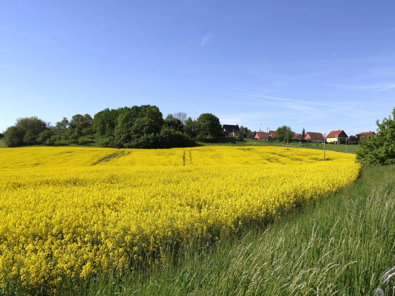 In Maxen mit Privatem Pool-Draußen